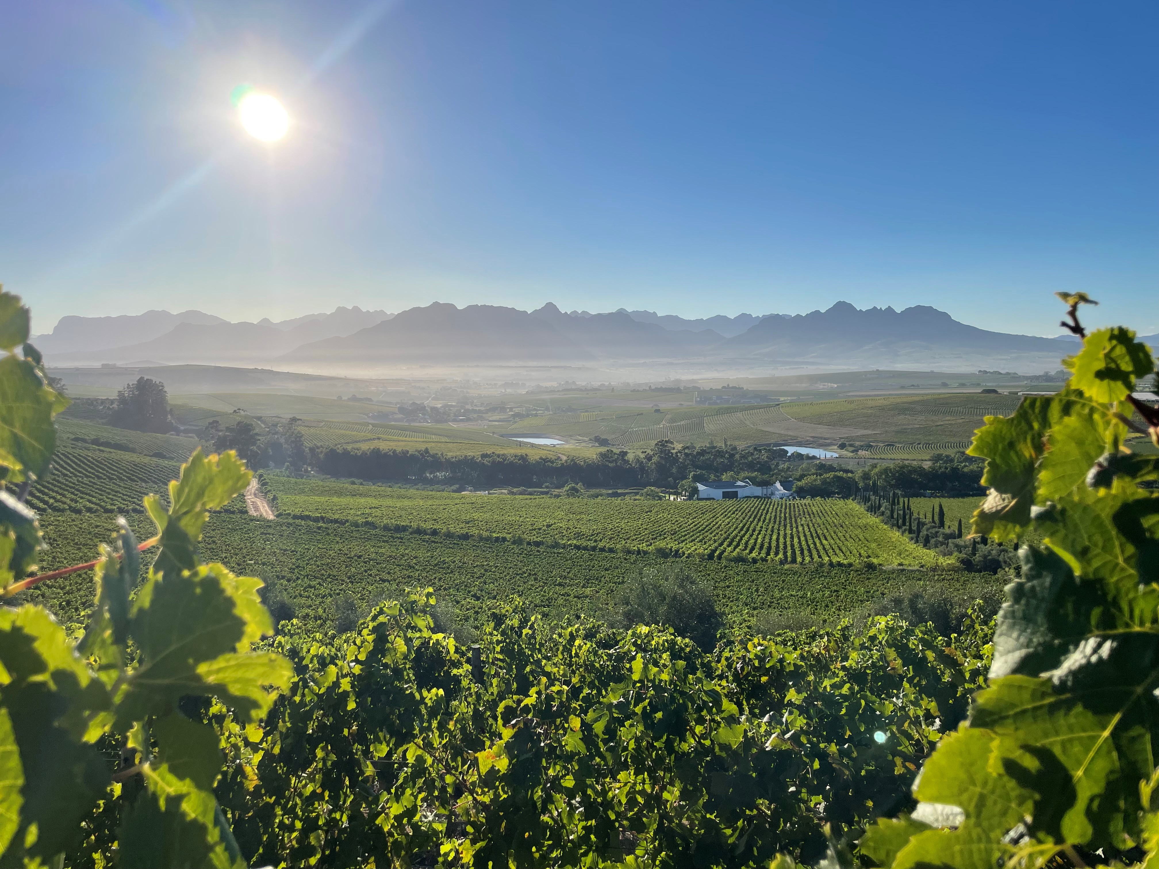 De Morgenzon