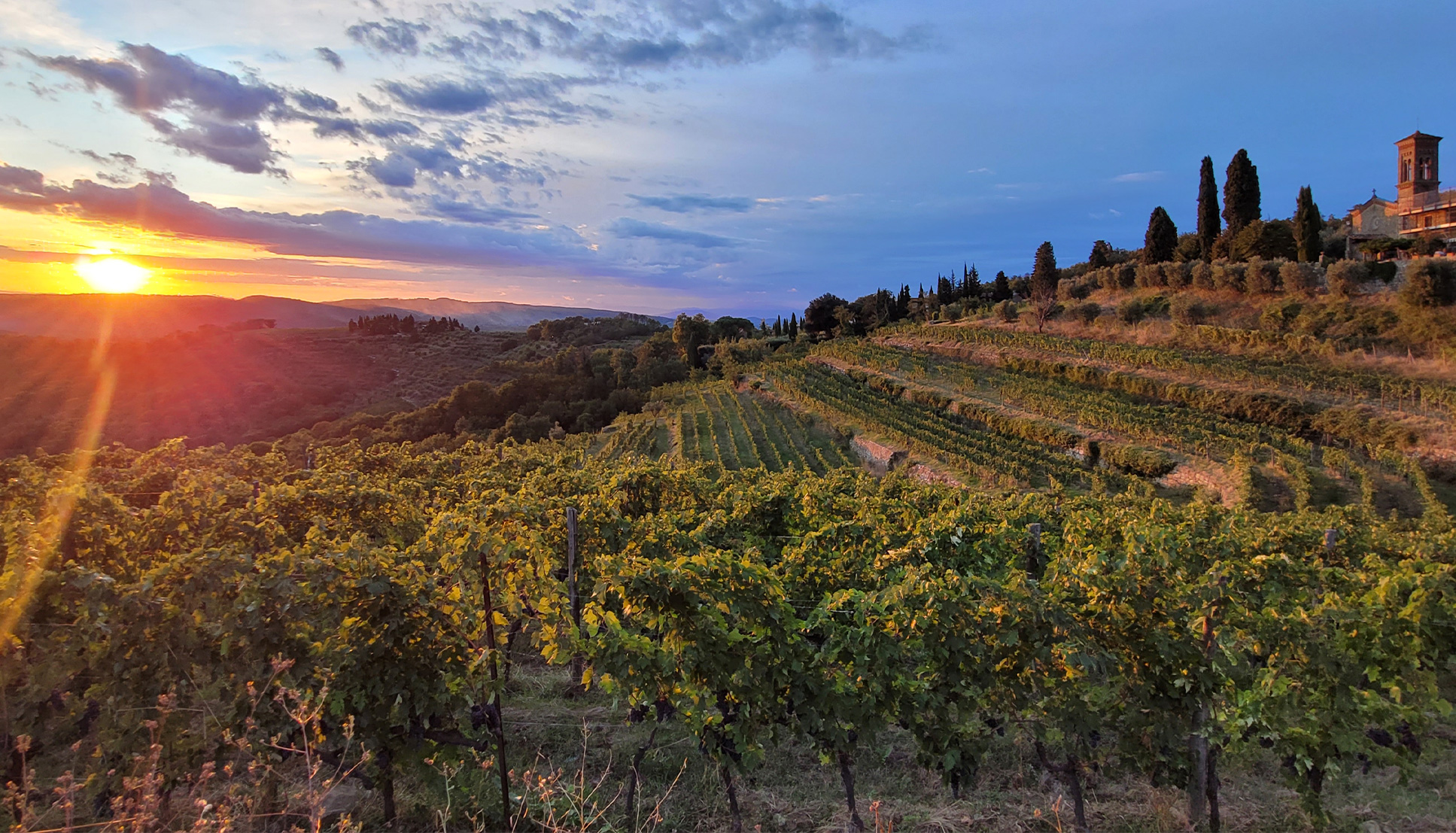 Querciabella