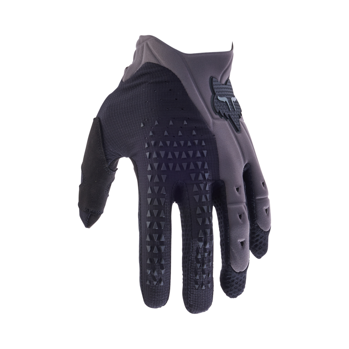 Gants Fox Racing Pawtector CE
