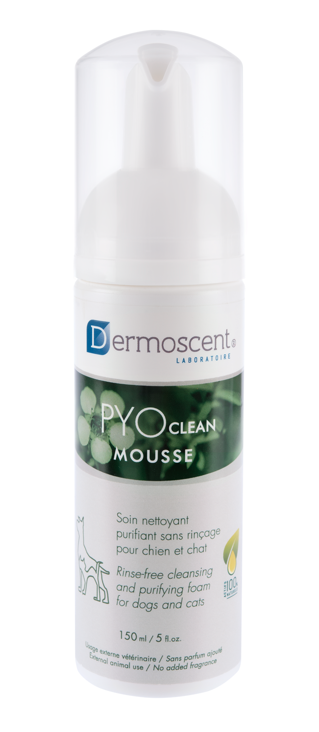 PYOclean® Mousse