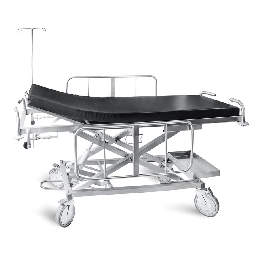 Nosze transportowe z hydrauliczną regulacją wysokości - D03/D04 - Metallram med epoxi-finish