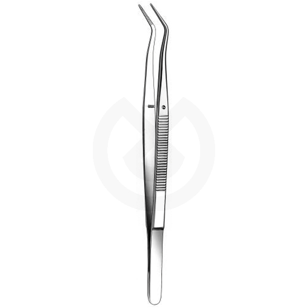 Serrerade Merian-Pinzette 773c/2 - 15 cm - CARL MARTIN