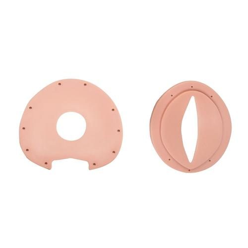 Livmoderhals / vulva