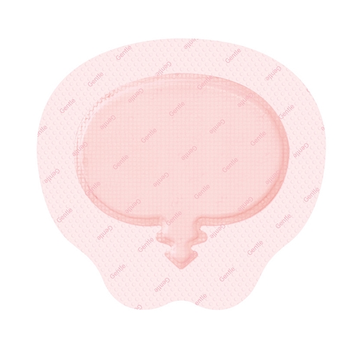 Allevyn Gentle silikoninen vaahtosidos - 21,6x23cm Sacrum Border - 10 kpl