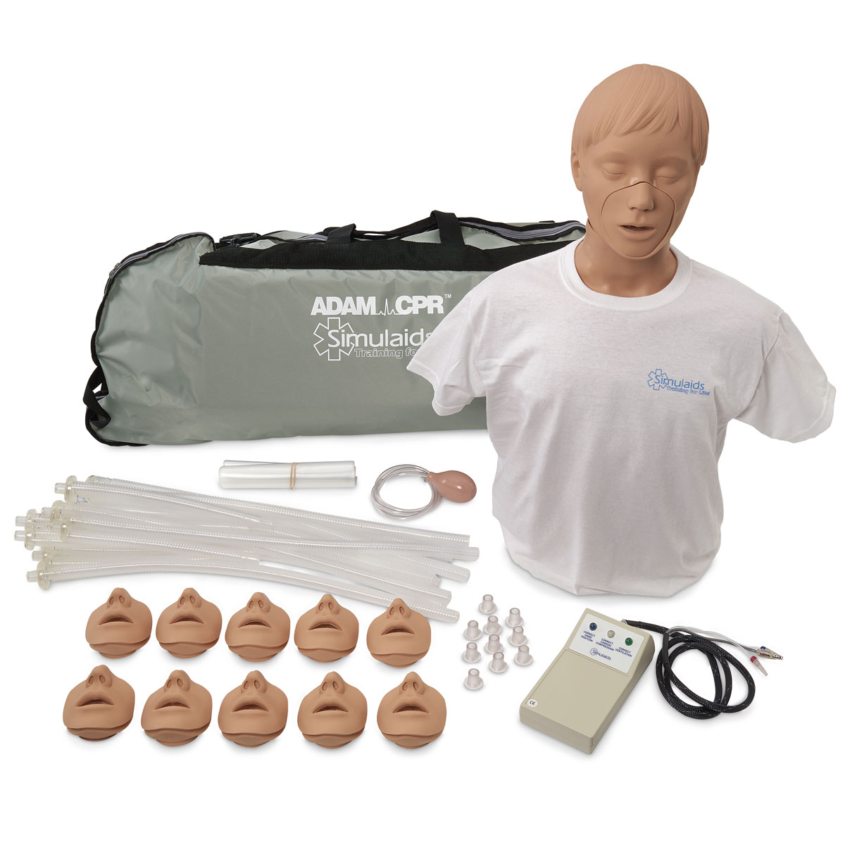 Adult CPR torso with electronics