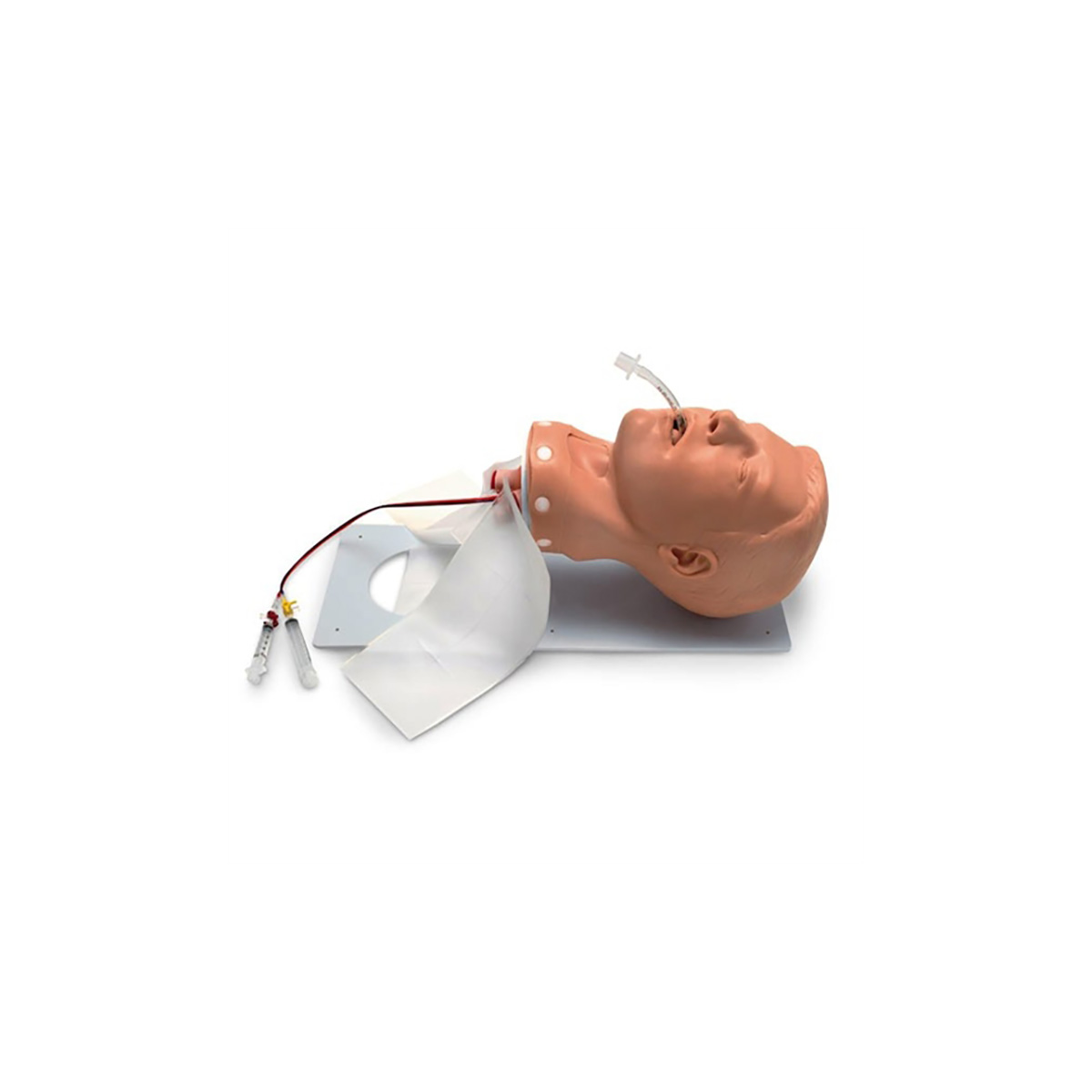 Adult Deluxe airway management trainer