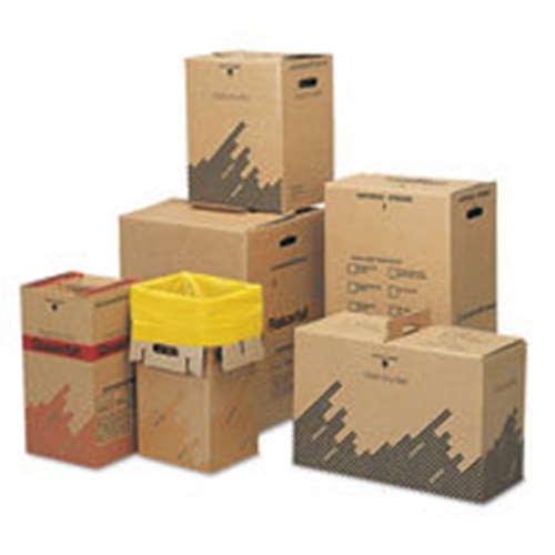 Neutraler Abfallsackkarton - 22L mit Sack - 25 St.