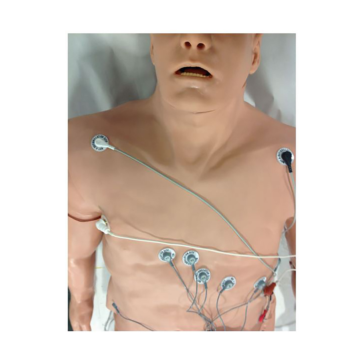 12-lead arrhythmia simulator with overlay manikin - Zoll, large