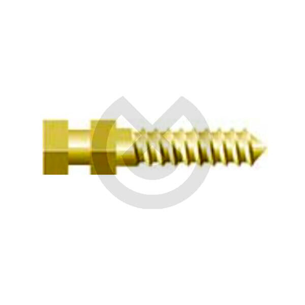 Gyllene kompositskruvar, 12 st – Golden Composite Screw Posts M4