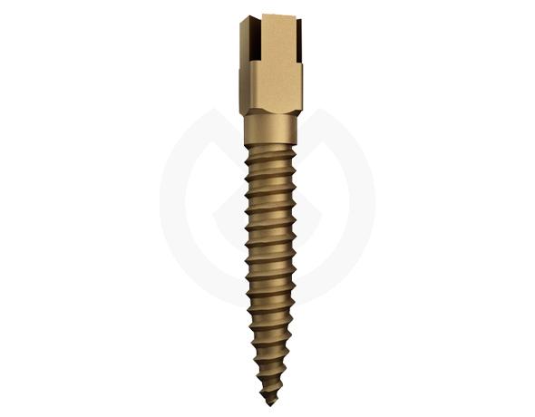 Dentatus Gold 15 st – Gold Plated Rst Nº 6 Long
