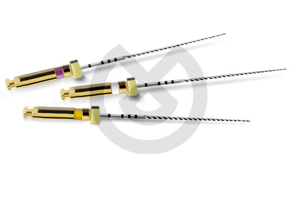 Pathfile Filar, storlek 013-019, maillefer – Files Pathfile Assorted 21Mm