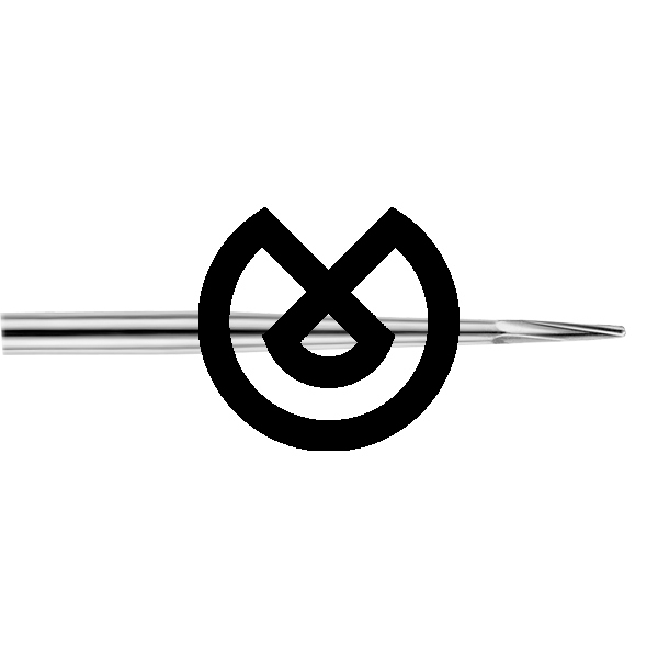 Aryane Z Borr - DENTSPLY MAILLEFER