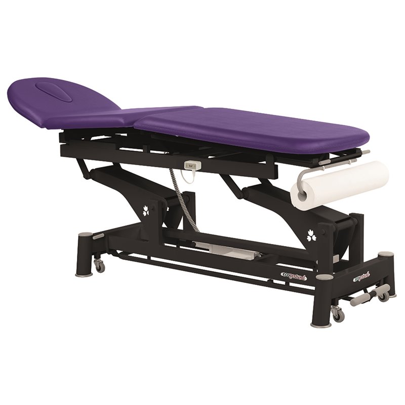 Elektrische 3-teilige Physiotherapieliege mit Papierrollenhalter und schwarzem Untergestell