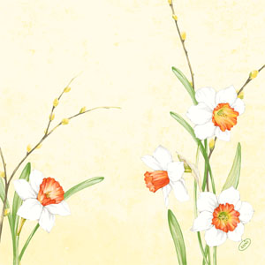 Dunisoft Serviet 40 x 40 cm Daffodil Joy - 60 stk/pk