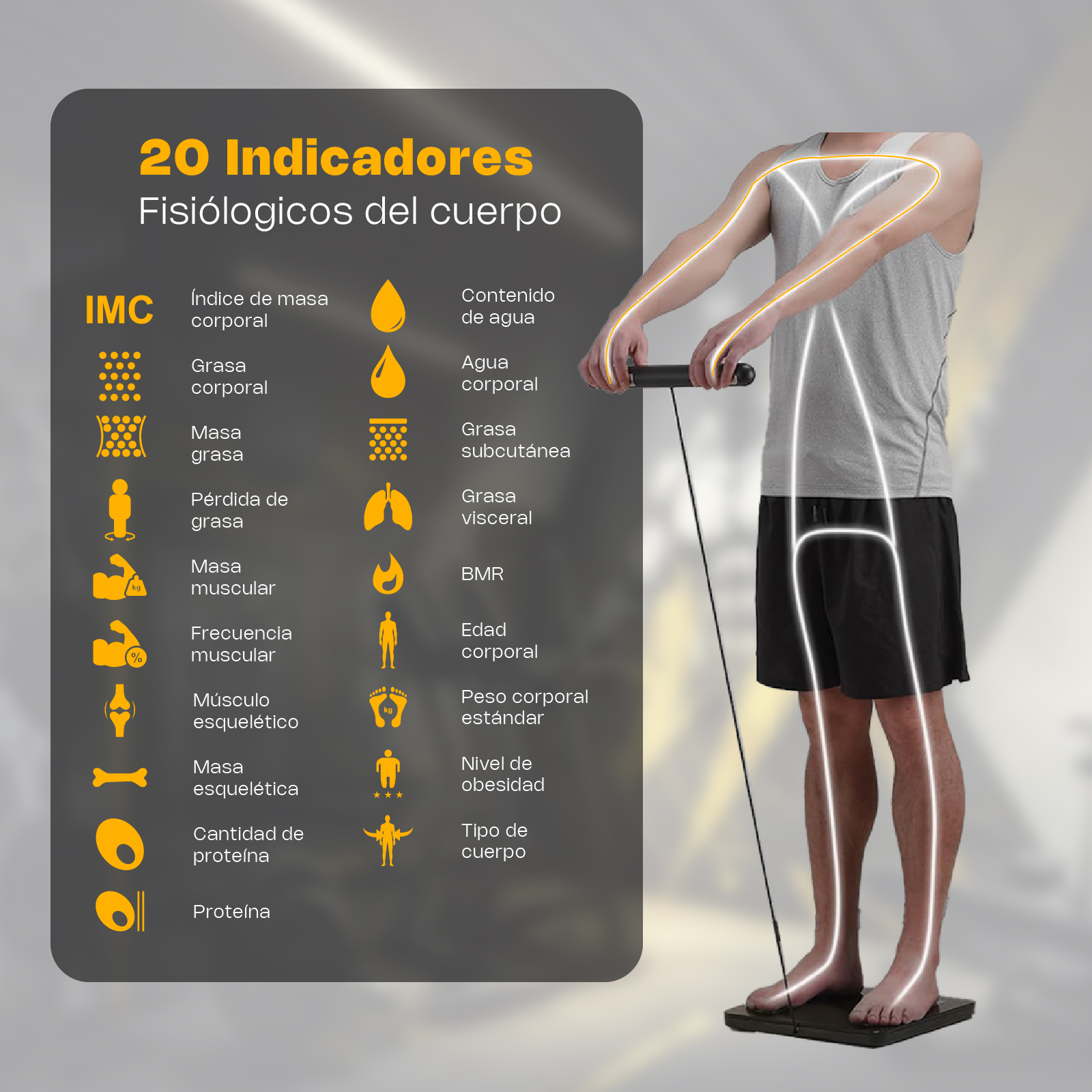Báscula Inteligente de Pesaje Corporal con 8 Electrodos 180 kg · detalle 6