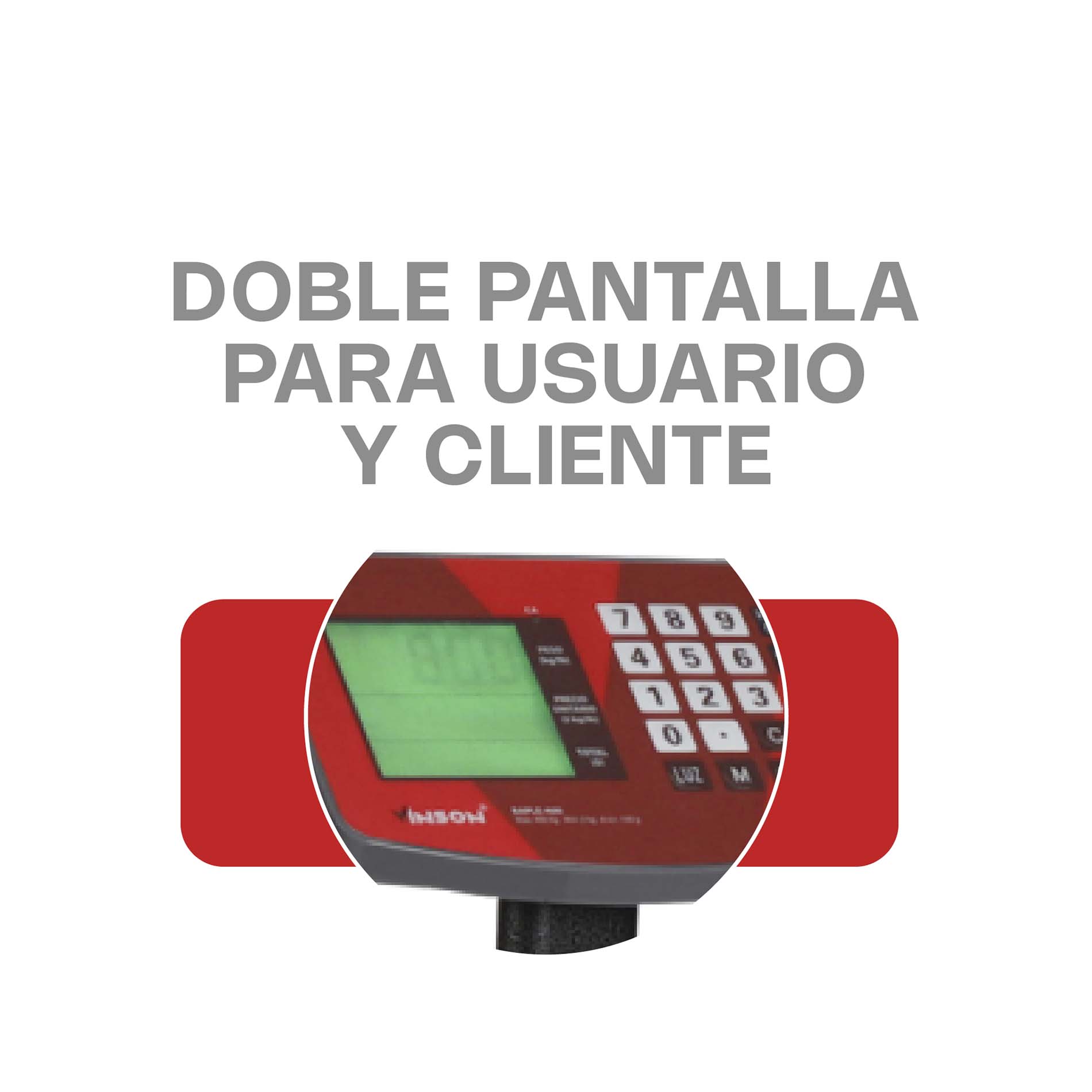 Báscula de Plataforma Plegable 200 kg · detalle 2