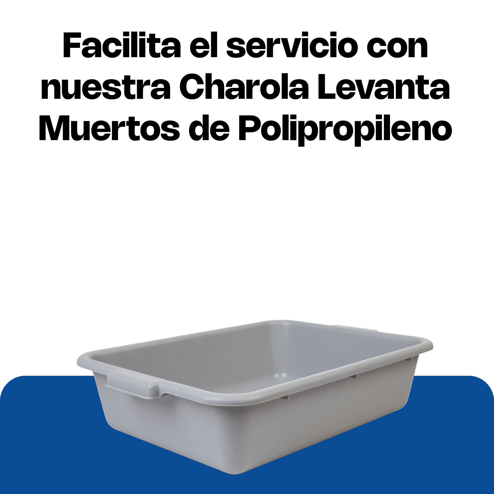 Charola de Servicio 5" · detalle 6
