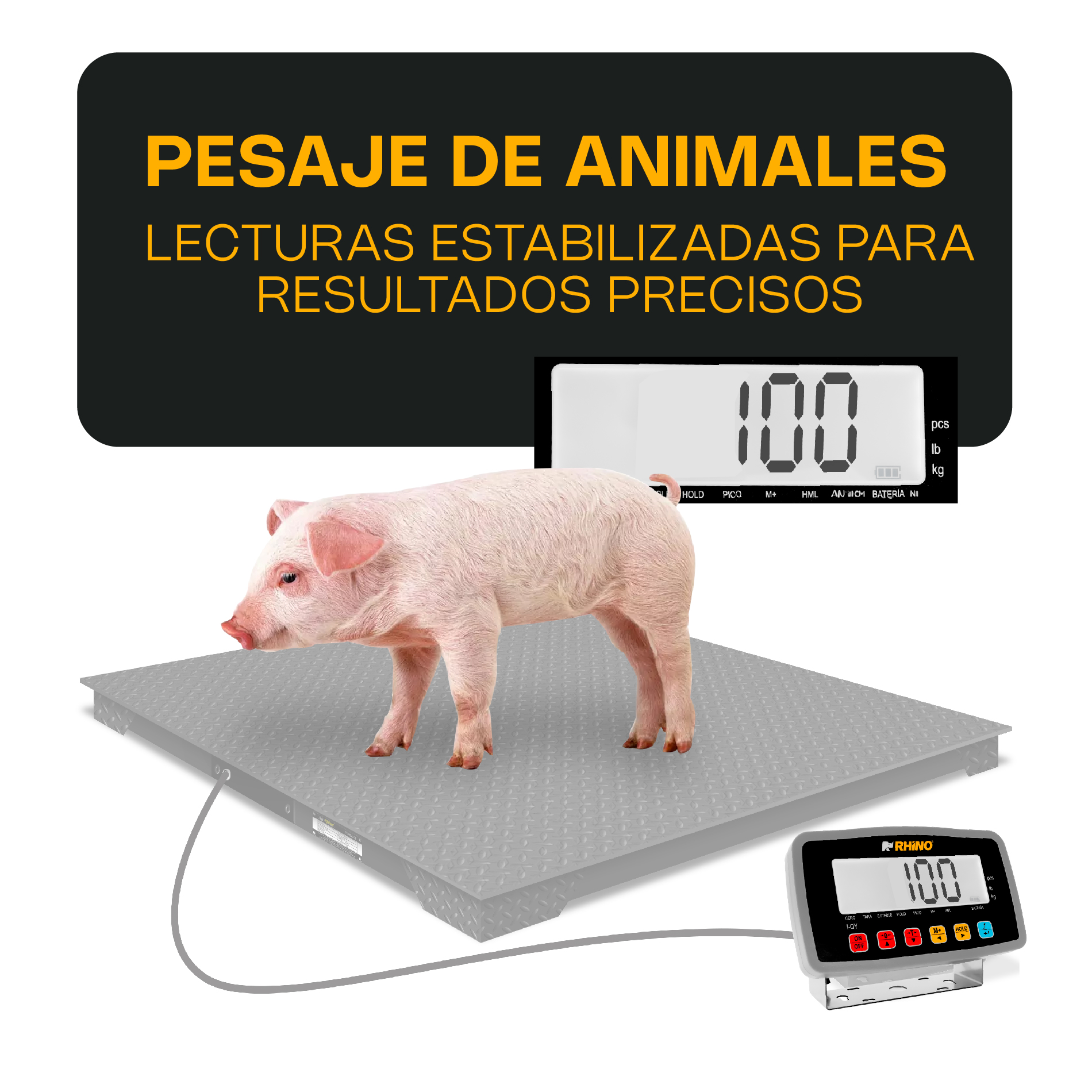 Indicador Peso, Contador y Pesaje de Animales · detalle 3