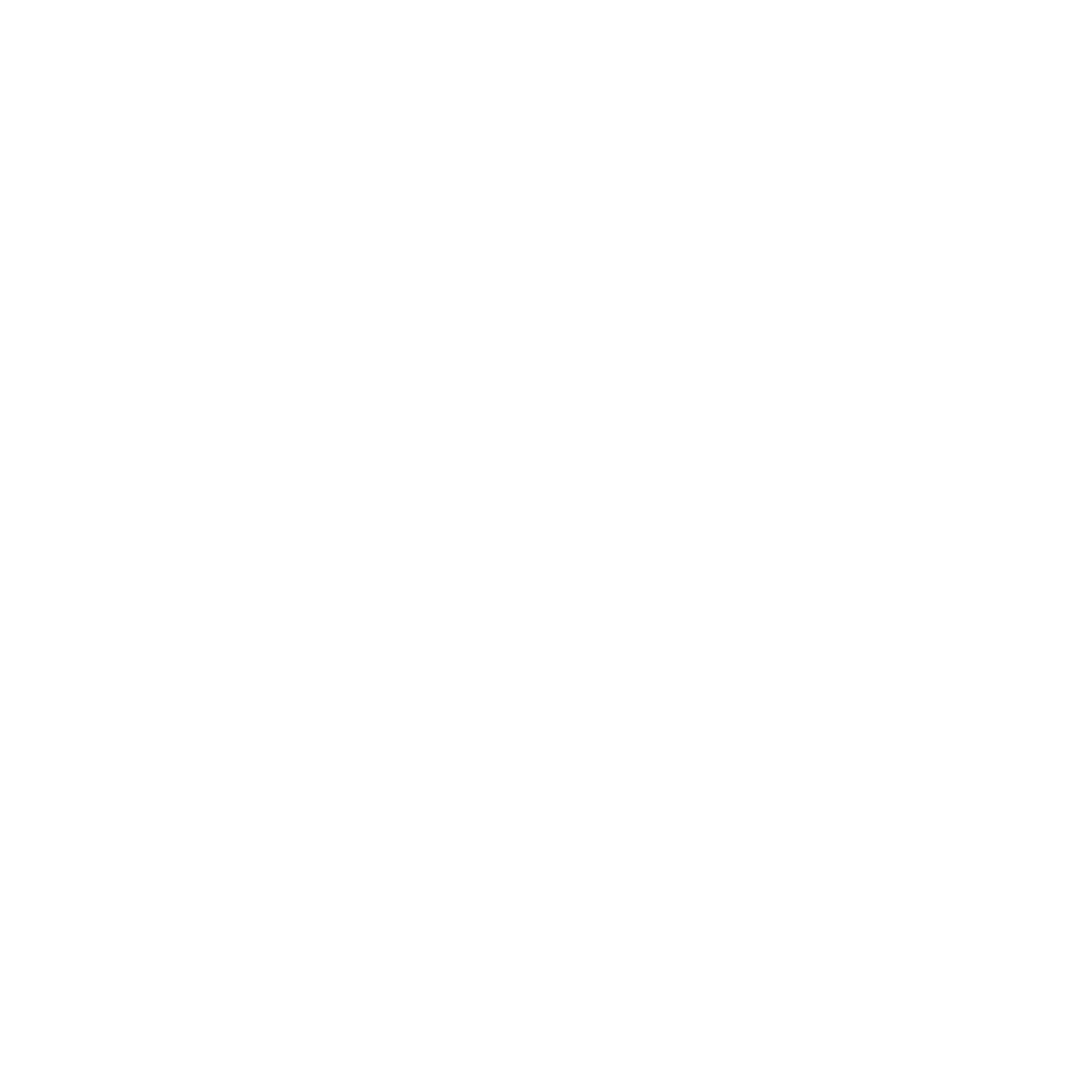 SidePort TracLoader