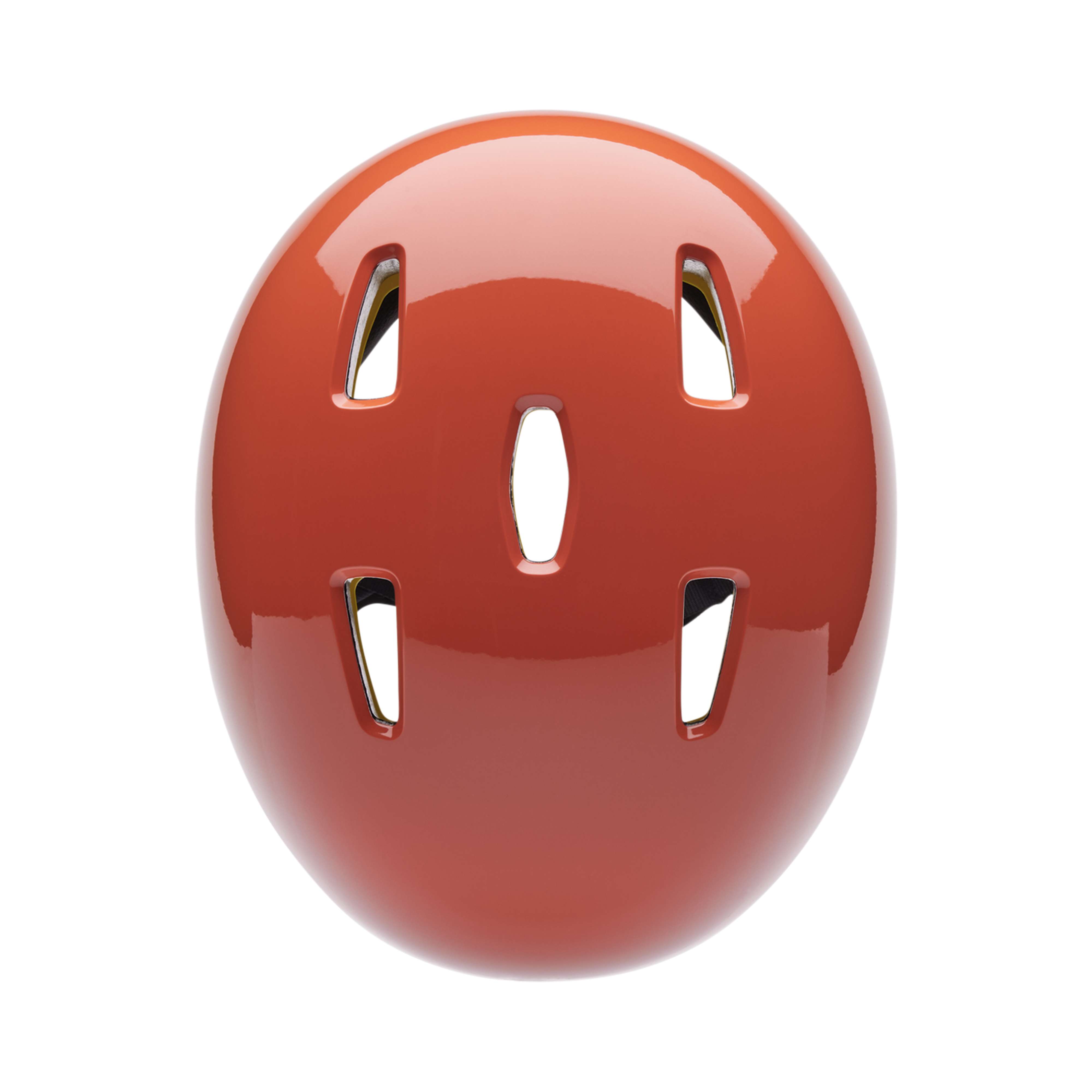 Fox Racing Flight Helmet